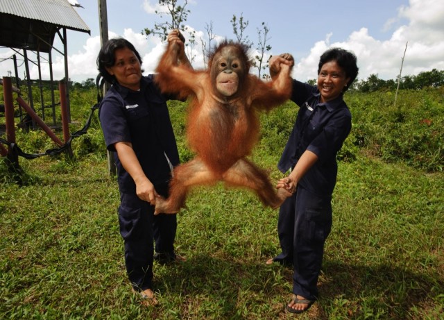 Born To Be Wild Fotoğrafı