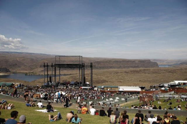 Flying Butterfly Fotoğrafı