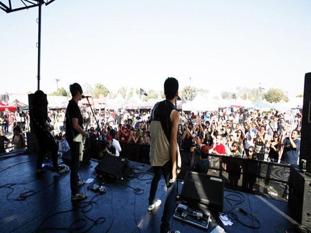 Flying Butterfly Fotoğrafı