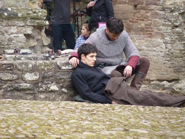 Merlin Fotoğrafı