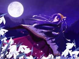 Tsukuyomi -moon Phase- fotoğrafı