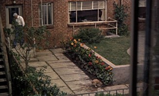 Arka Pencere Fotoğrafı