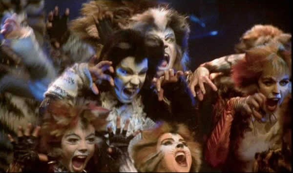 Cats Fotoğrafı