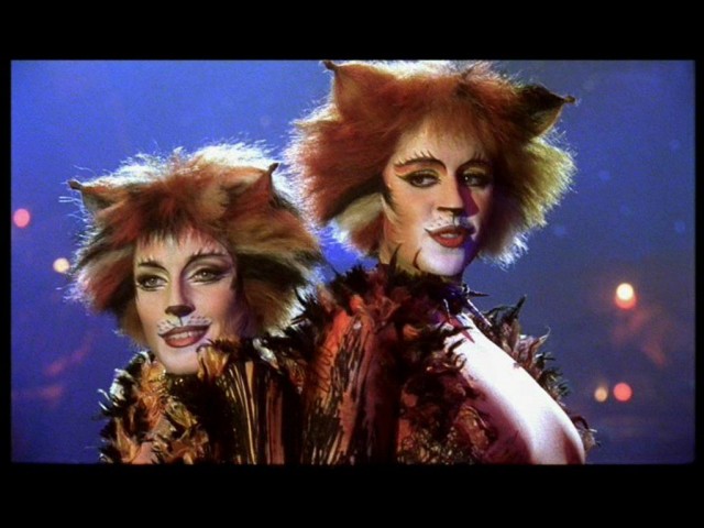 Cats Fotoğrafı