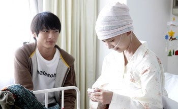 Fireworks From The Heart Fotoğrafı