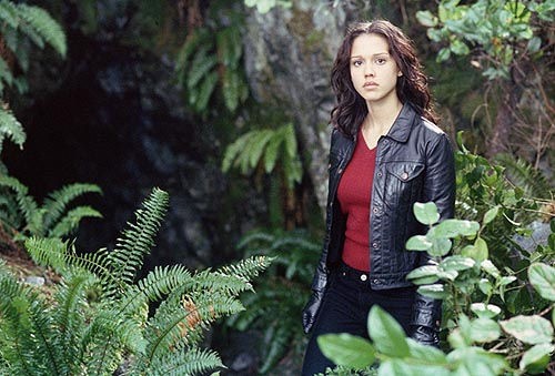 Dark Angel Fotoğrafı