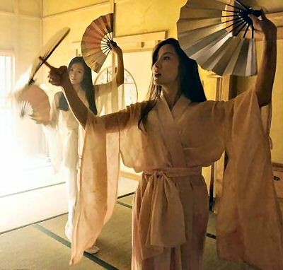 Bir Geyşanın Anıları Fotoğrafı