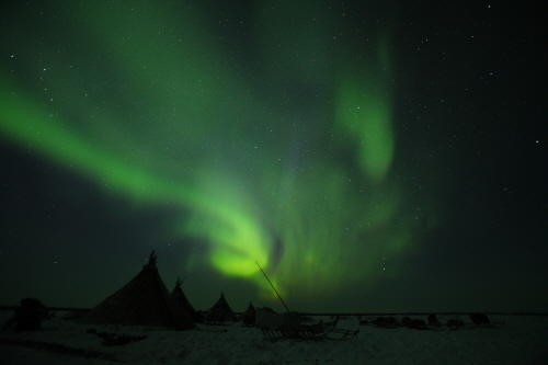 The Final Tundra Fotoğrafı