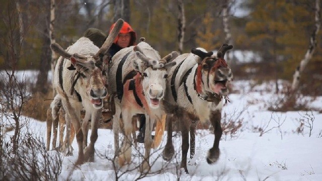 The Final Tundra Fotoğrafları 11