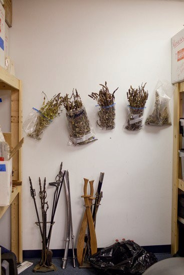 Vampir Günlükleri Fotoğrafı