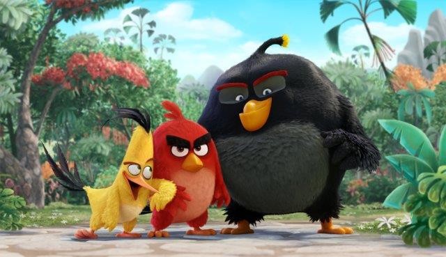 Angry Birds Fotoğrafları 3