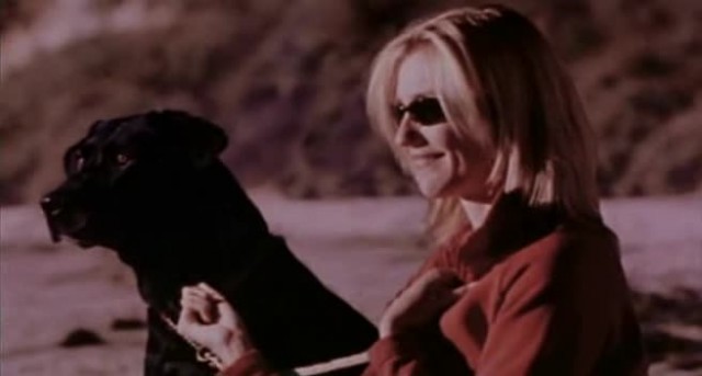 Vanilla Sky Fotoğrafı