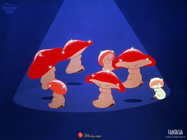 Fantasia Fotoğrafı