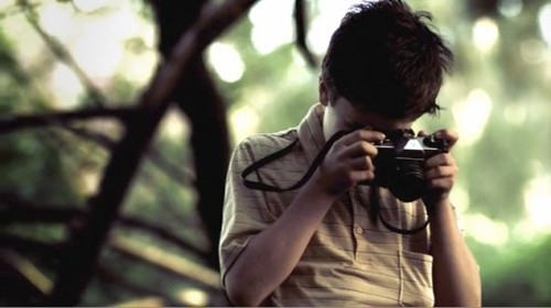 Kayısı fotoğrafı