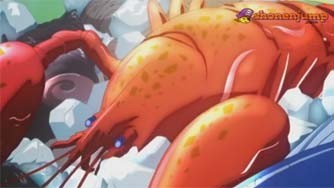 Toriko Fotoğrafı