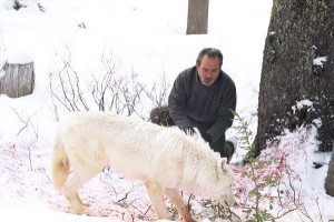 Başkaldırış Fotoğrafları 1