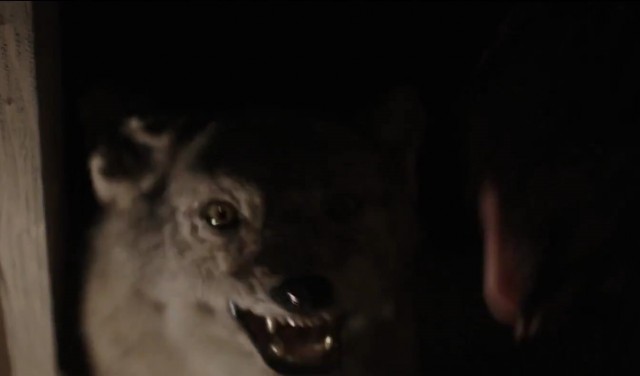 The Darkness Fotoğrafı