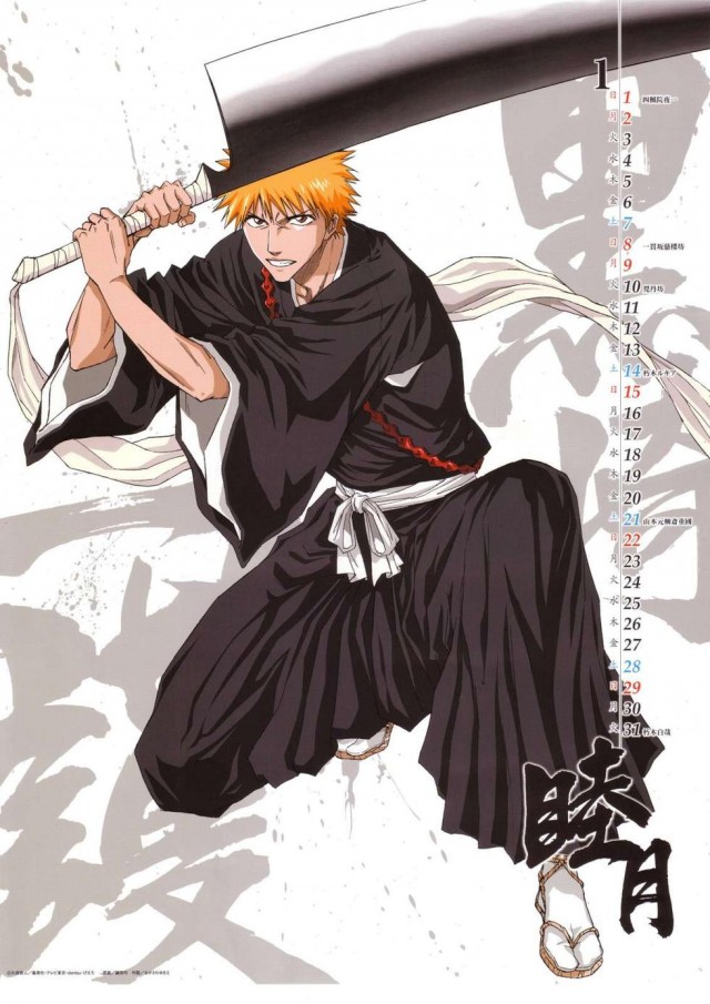Bleach Fotoğrafı