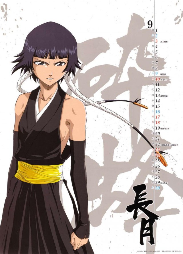 Bleach Fotoğrafı