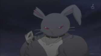 Weiss Survive R Fotoğrafı