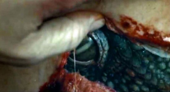 Alien Sleeper Cell Fotoğrafı