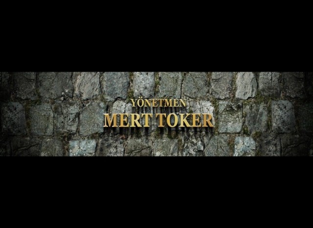 Topal Martı Fotoğrafı