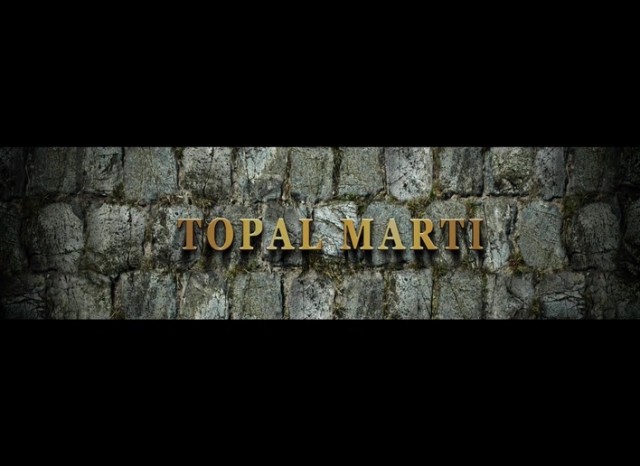 Topal Martı Fotoğrafları 10