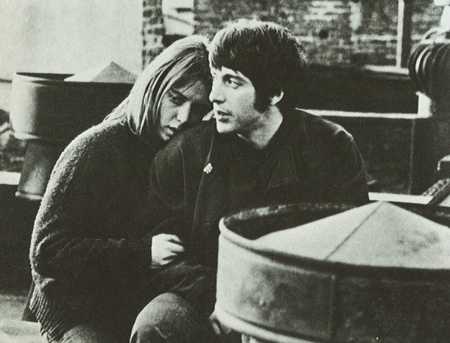 Esrar Bitti Fotoğrafı