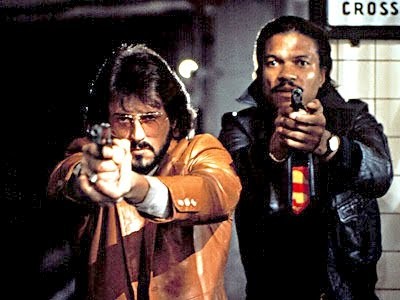 Gece Şahini Fotoğrafı