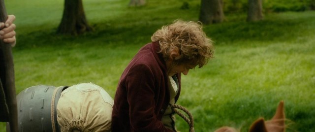 Hobbit: Beklenmedik Yolculuk Fotoğrafı