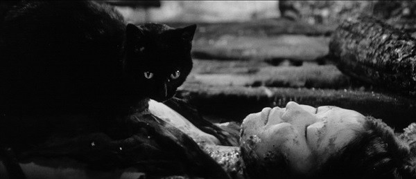 Yabu No Naka No Kuroneko fotoğrafı