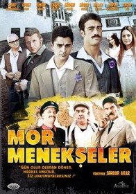 Mor Menekşeler Fotoğrafları 3