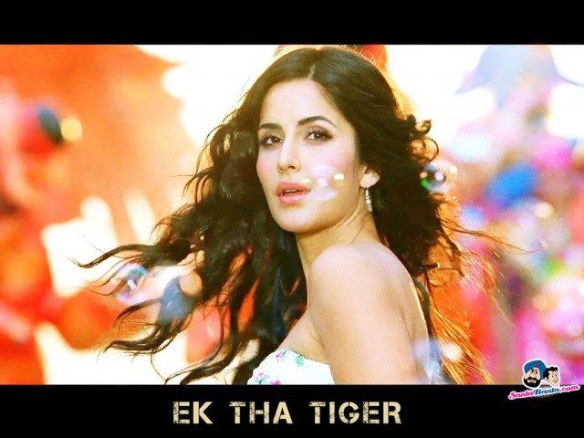 Bir Zamanlar Tiger Fotoğrafı