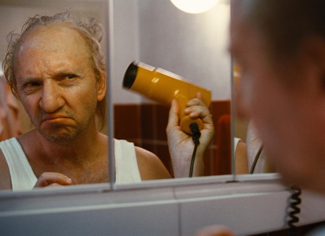 Pigeons on the Roof Fotoğrafı