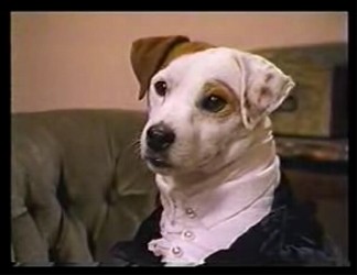 Wishbone,yaşa Wishbone Fotoğrafları 13