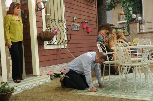 Alemin Kıralı Fotoğrafı