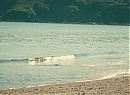 Zamanda Aşk Fotoğrafı