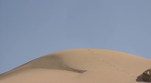 Hazine Bekçileri Fotoğrafı