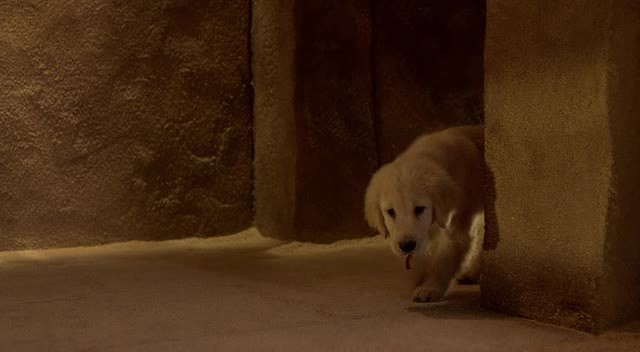 Hazine Bekçileri Fotoğrafı