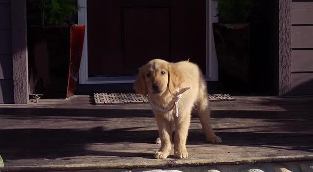 Hazine Bekçileri Fotoğrafı