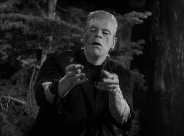 Frankenstein'ın Gelini Fotoğrafı