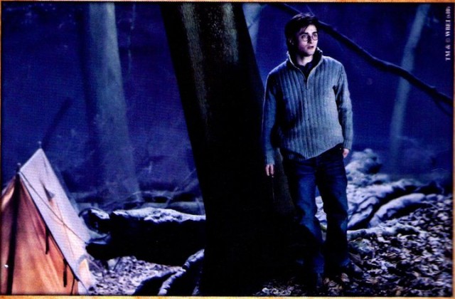 Harry Potter ve Ölüm Yadigarları: Bölüm 1 Fotoğrafı