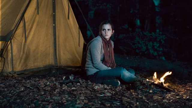 Harry Potter ve Ölüm Yadigarları: Bölüm 1 Fotoğrafı