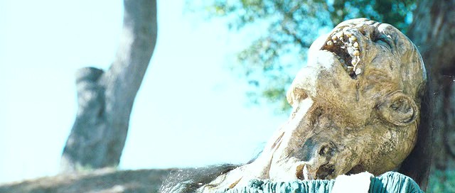 Gizemli Yolculuk Fotoğrafı