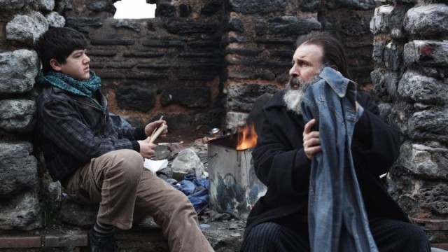 Kırık Midyeler Fotoğrafı