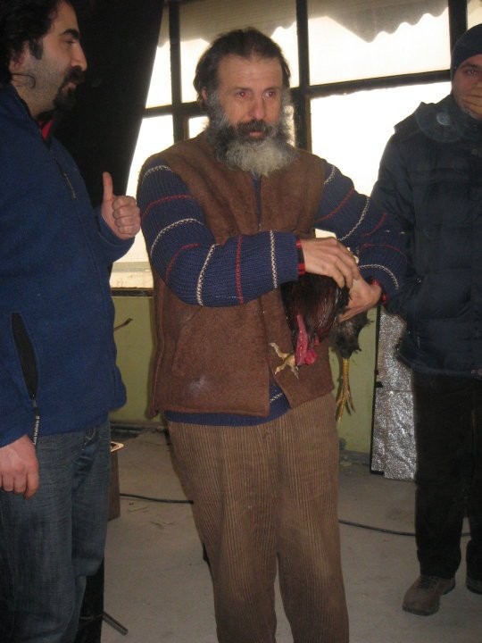 Kırık Midyeler Fotoğrafı