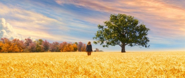 Cennetimden Bakarken Fotoğrafı