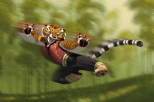 Kung Fu Panda Fotoğrafı