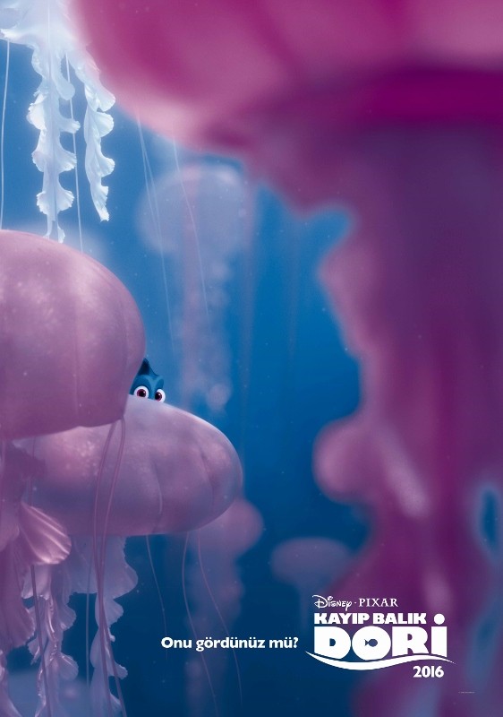 Kayıp Balık Dori Fotoğrafı