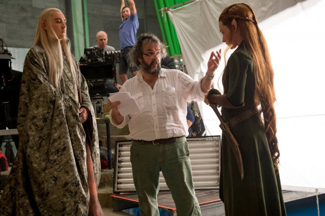 Hobbit: Smaug'un Çorak Toprakları Fotoğrafı